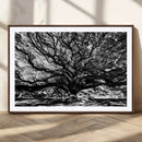 Mighty Angel Oak Wall Art | Angel Oak Tree Art Print by MyGreatCanvas | Canvas Wall Art Prints | Photo Prints & Wall Decor