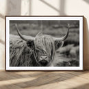 Cow Focus Canvas Wall Art Print by MyGreatCanvas | Canvas Wall Art Prints | Photo Prints & Wall Decor