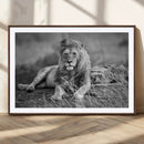 King Forest Lion Wall Art Canvas Print – Framed Majestic by MyGreatCanvas | Canvas Wall Art Prints | Photo Prints & Wall Decor