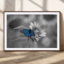 Blue Butterfly Black and White Canvas Wall Art by MyGreatCanvas | Canvas Wall Art Prints | Photo Prints & Wall Decor