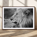 Lion Wall Art Canvas Print – Framed Majestic Wildlife by MyGreatCanvas | Canvas Wall Art Prints | Photo Prints & Wall Decor