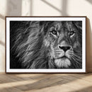 Black and White Lion Canvas Wall Art Print – Wildlife