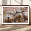 Lion Pair Wall Art Canvas Print – Framed Wildlife Scene with