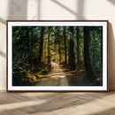 Sunlit Forest Pathway Canvas Print | 3 Panel Large Nature by MyGreatCanvas | Canvas Wall Art Prints | Photo Prints & Wall Decor