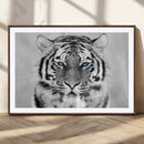 Black and White Tiger Wall Art Animal Canvas Print
