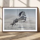 Prancing Horse Desert Large Wall Art Canvas Print – Majestic