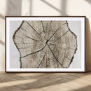 Abstract Wood Tree Ring Wall Art - Ready to Hang Minimalist