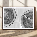 Abstract Large Tree Rings – Minimalist Black and White Wood