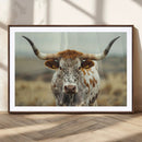 Texas Cow Longhorn Wall Art Canvas Print for Farm House Wall