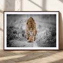 Jaguar Wall Art Canvas Print - Majestic Big Cat in Focused by MyGreatCanvas | Canvas Wall Art Prints | Photo Prints & Wall Decor