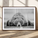 Resting Grizzly Bear Wall Art Canvas Print – Majestic Lazy by MyGreatCanvas | Canvas Wall Art Prints | Photo Prints & Wall Decor