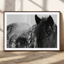 Black Horse in Snow Canvas Print | Winter Horse Wall Art |