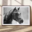 Horse Canvas Print - Winter Horse Snow Wall Art Canvas Print