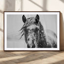 Western Wall Art | Black and White Winter Horse Wall Art | by MyGreatCanvas | Canvas Wall Art Prints | Photo Prints & Wall Decor