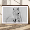 Majestic White Horse Wall Art | Ready to Hang and Framed |