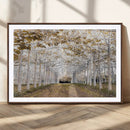 Forest Grove Wall Art | Serene Pathway Canvas Print | Ready
