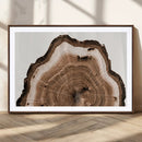Rustic Wood Rings Wall Art | Nature-Inspired Tree Ring