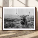 Scottish Highland Cow Wall Art | Black and White Canvas
