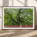 Framed Angel Oak Tree Wall Art - 3-Panel Canvas Prints,