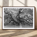 Black White Angel Oak Tree Wall Art - Timeless