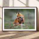 Heartwarming Fox and Baby Cub Wall Art | Ready to Hang
