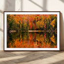 Forest Reflection Art | Autumn Forest Reflection Wall Art | by MyGreatCanvas | Canvas Wall Art Prints | Photo Prints & Wall Decor