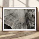 Elephant Wall Art Canvas Print