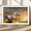 Large Wall Art Galloping White Horse at Sunset Canvas Print