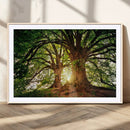 Majestic Ancient Tree Wall Art, NatureCanvas Print, Woodland by MyGreatCanvas | Canvas Wall Art Prints | Photo Prints & Wall Decor