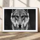 Black and White Wild Wolf Wall Art Canvas Print