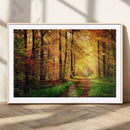 Sunlight Through Trees Wall Art Canvas Print - Autumn Forest