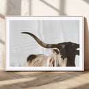 Texas Longhorn Wall Art Canvas Print | 3-Panel Large
