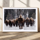 Bison Wall Art Canvas Print- Bison Herd Canvas Wall Art – by MyGreatCanvas | Canvas Wall Art Prints | Photo Prints & Wall Decor