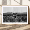 Black and White Highland Cow Canvas Wall Art, Longhorn by MyGreatCanvas | Canvas Wall Art Prints | Photo Prints & Wall Decor