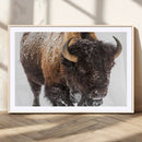 Bison Wall Art Canvas Print For Farmhouse, Wild Animal Wall by MyGreatCanvas | Canvas Wall Art Prints | Photo Prints & Wall Decor