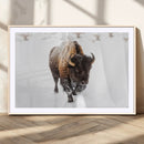 Bison Winter Wall Art Canvas Print For Farmhouse Decor