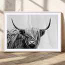 Black White Scottish Highland Cow Cattle Art Print Farmhouse