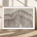 Tree Ring Wall Art Triptych, Rustic Wood Ring Canvas Print,