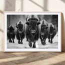 American Bison Art | Buffalo Herd Wall Art Canvas Print, BW