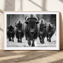 American Bison Art | Buffalo Herd Wall Art Canvas Print, BW