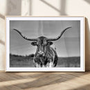 Texas Longhorn Cow Wall Art, Texas Longhorn Canvas, Cattle