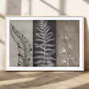Minimalist Botanical Wall Art Canvas Print, Framed and Ready