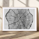 Rustic Tree Ring Wall Art Canvas Print – Framed and Ready to