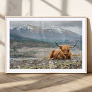 Highland Cow Horn Farm Wall Art Canvas Print