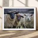 Charming Sheep Portrait Wall Art – Trio of Woolly Companions by MyGreatCanvas | Canvas Wall Art Prints | Photo Prints & Wall Decor