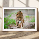 Leopard on the Prowl - Stunning Large Framed Leopard Wall