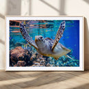 Underwater Sea Turtle Wall Art Canvas Print – Vibrant Ocean