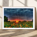Golden Sunflower Field at Sunset – Breathtaking Sky and