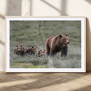 Wildlife Photography of 399 Grizzly Bear Cubs | Queen of the by MyGreatCanvas | Canvas Wall Art Prints | Photo Prints & Wall Decor