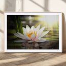Lotus Flower Wall Art Canvas Print, Water Lily Large Wall
